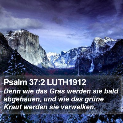 Psalm 37:2 LUTH1912 Bible Verse Image