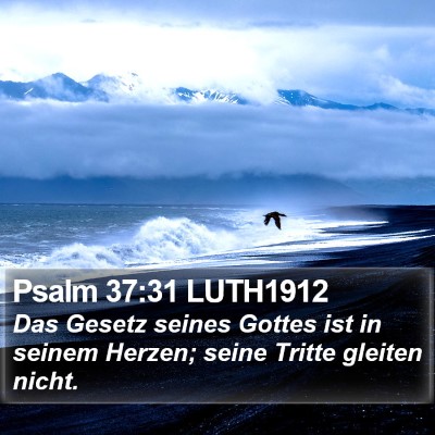 Psalm 37:31 LUTH1912 Bible Verse Image