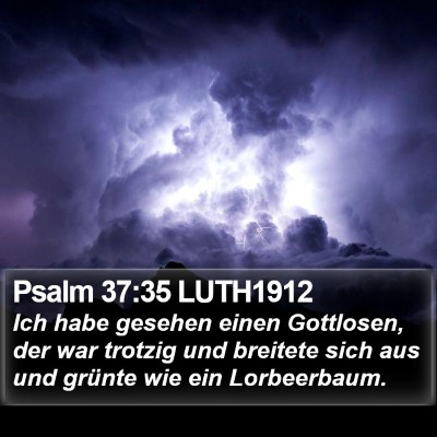 Psalm 37:35 LUTH1912 Bible Verse Image
