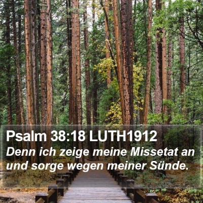 Psalm 38:18 LUTH1912 Bible Verse Image