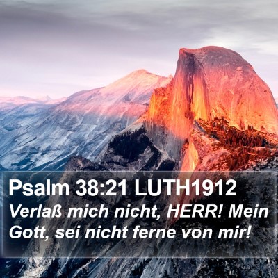 Psalm 38:21 LUTH1912 Bible Verse Image