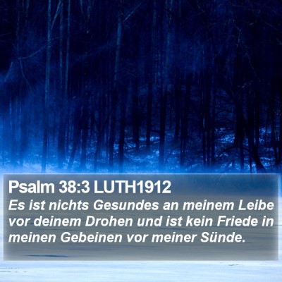 Psalm 38:3 LUTH1912 Bible Verse Image