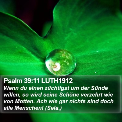 Psalm 39:11 LUTH1912 Bible Verse Image