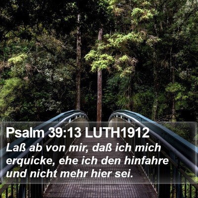 Psalm 39:13 LUTH1912 Bible Verse Image