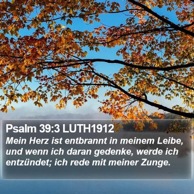 Psalm 39:3 LUTH1912 Bible Verse Image