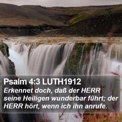 Psalm 4:3 LUTH1912 Bible Verse Image