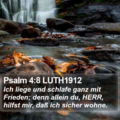 Psalm 4:8 LUTH1912 Bible Verse Image