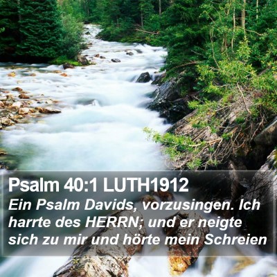 Psalm 40:1 LUTH1912 Bible Verse Image