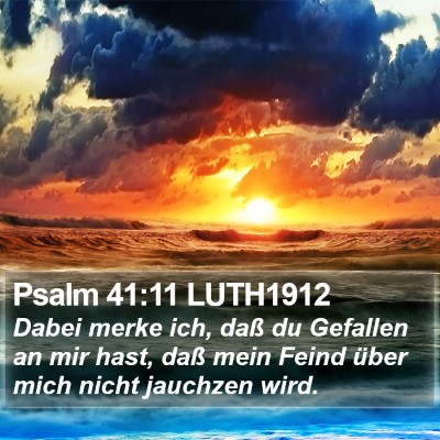 Psalm 41:11 LUTH1912 Bible Verse Image