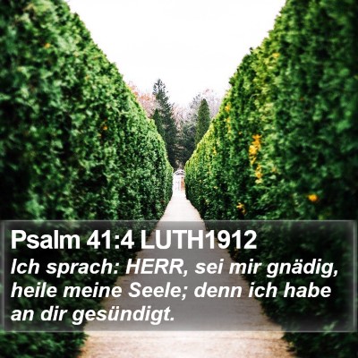 Psalm 41:4 LUTH1912 Bible Verse Image