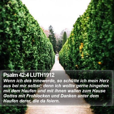 Psalm 42:4 LUTH1912 Bible Verse Image