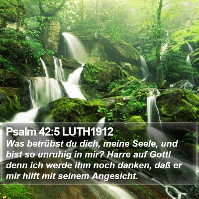 Psalm 42:5 LUTH1912 Bible Verse Image