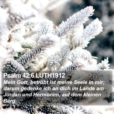 Psalm 42:6 LUTH1912 Bible Verse Image