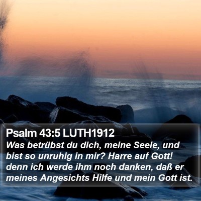 Psalm 43:5 LUTH1912 Bible Verse Image