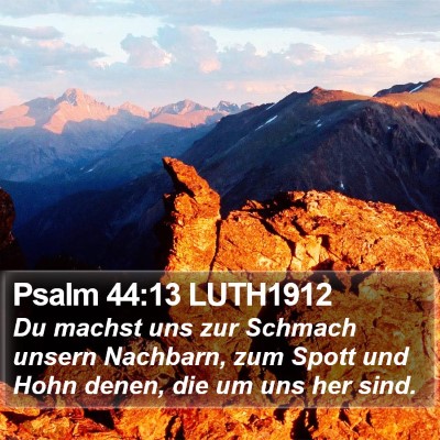 Psalm 44:13 LUTH1912 Bible Verse Image