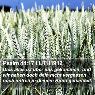 Psalm 44:17 LUTH1912 Bible Verse Image