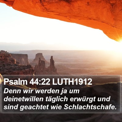 Psalm 44:22 LUTH1912 Bible Verse Image