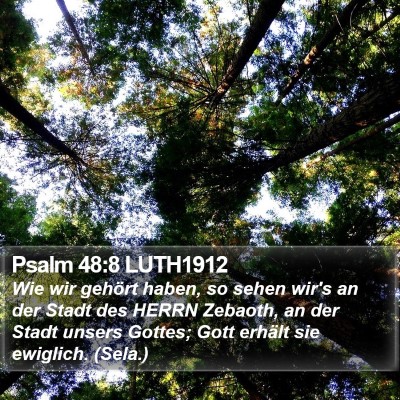 Psalm 48:8 LUTH1912 Bible Verse Image