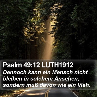 Psalm 49:12 LUTH1912 Bible Verse Image