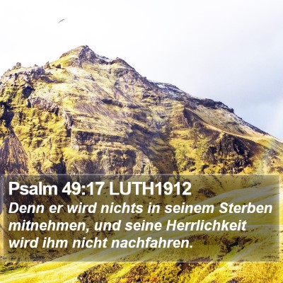 Psalm 49:17 LUTH1912 Bible Verse Image