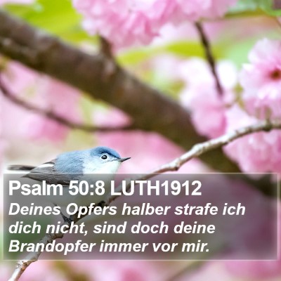 Psalm 50:8 LUTH1912 Bible Verse Image