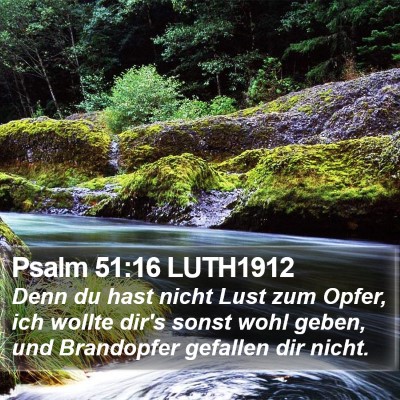 Psalm 51:16 LUTH1912 Bible Verse Image