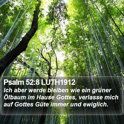 Psalm 52:8 LUTH1912 Bible Verse Image