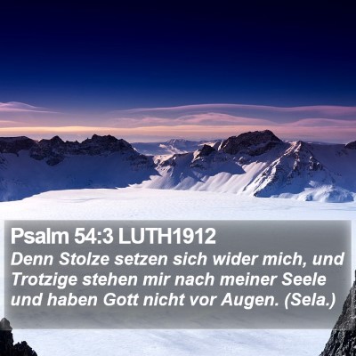Psalm 54:3 LUTH1912 Bible Verse Image
