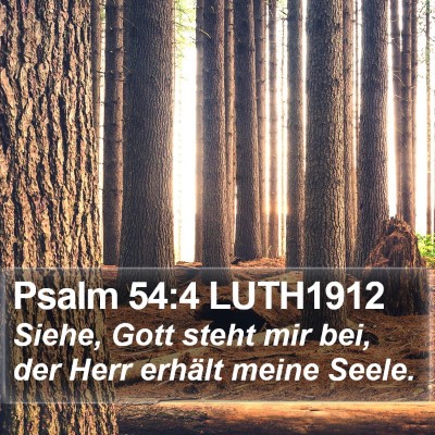 Psalm 54:4 LUTH1912 Bible Verse Image