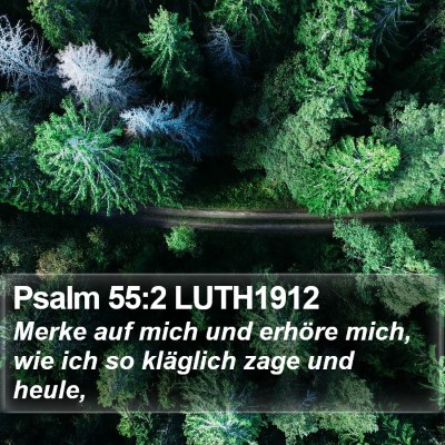 Psalm 55:2 LUTH1912 Bible Verse Image