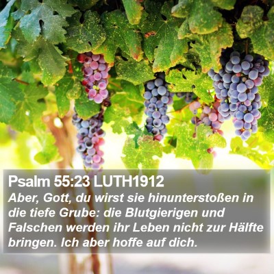 Psalm 55:23 LUTH1912 Bible Verse Image