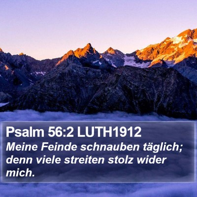 Psalm 56:2 LUTH1912 Bible Verse Image