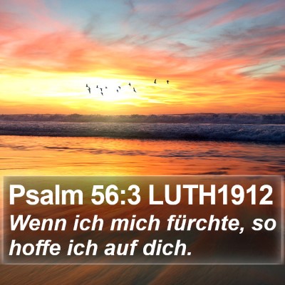 Psalm 56:3 LUTH1912 Bible Verse Image