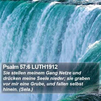 Psalm 57:6 LUTH1912 Bible Verse Image