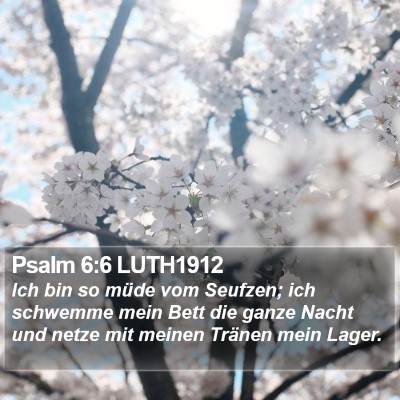 Psalm 6:6 LUTH1912 Bible Verse Image