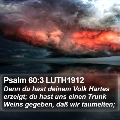 Psalm 60:3 LUTH1912 Bible Verse Image