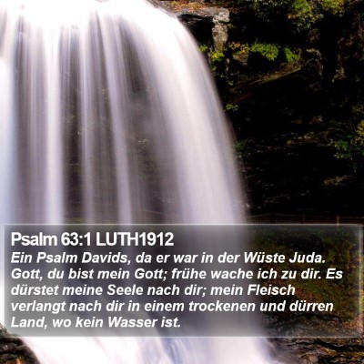 Psalm 63:1 LUTH1912 Bible Verse Image