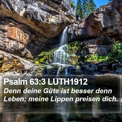 Psalm 63:3 LUTH1912 Bible Verse Image
