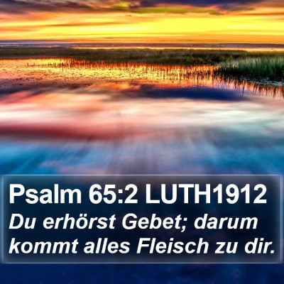Psalm 65:2 LUTH1912 Bible Verse Image