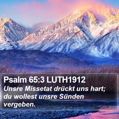Psalm 65:3 LUTH1912 Bible Verse Image