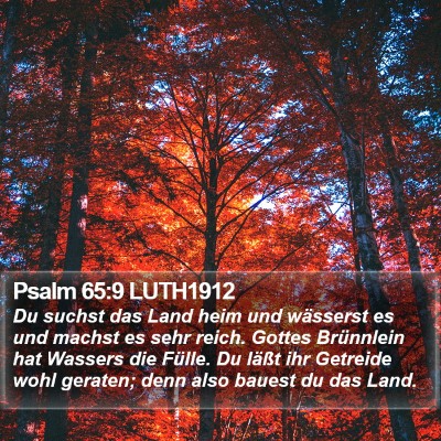 Psalm 65:9 LUTH1912 Bible Verse Image