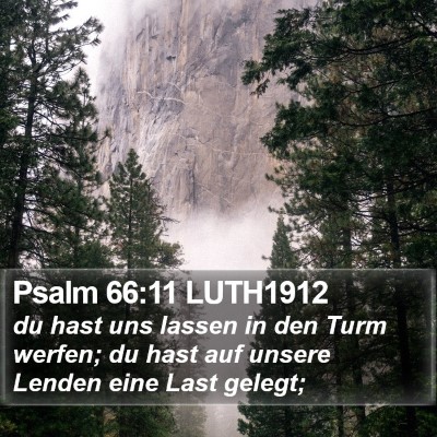 Psalm 66:11 LUTH1912 Bible Verse Image