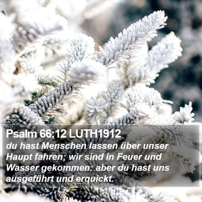 Psalm 66:12 LUTH1912 Bible Verse Image