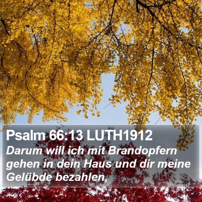 Psalm 66:13 LUTH1912 Bible Verse Image