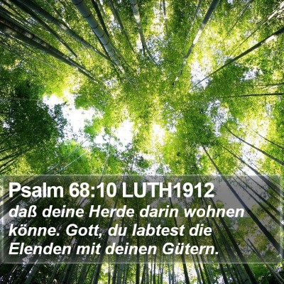 Psalm 68:10 LUTH1912 Bible Verse Image