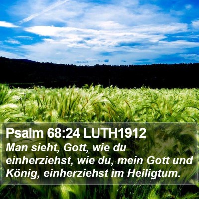 Psalm 68:24 LUTH1912 Bible Verse Image