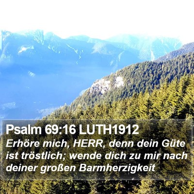 Psalm 69:16 LUTH1912 Bible Verse Image
