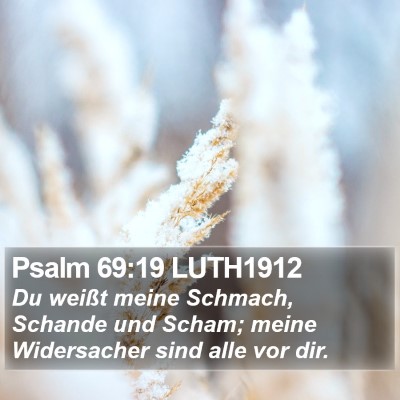 Psalm 69:19 LUTH1912 Bible Verse Image