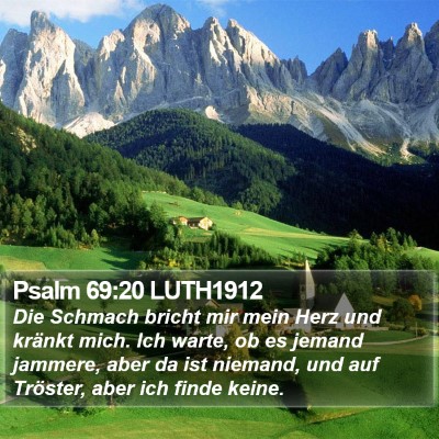 Psalm 69:20 LUTH1912 Bible Verse Image