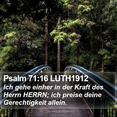 Psalm 71:16 LUTH1912 Bible Verse Image